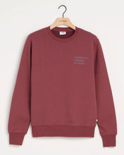 Afbeelding in Gallery-weergave laden, DOUGLAS