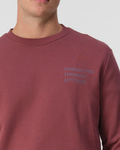 Afbeelding in Gallery-weergave laden, DOUGLAS